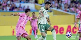 大谷翔平在 2024 赛季共使用了 30 种不同颜色的定制手套，带动了全球棒球装备热